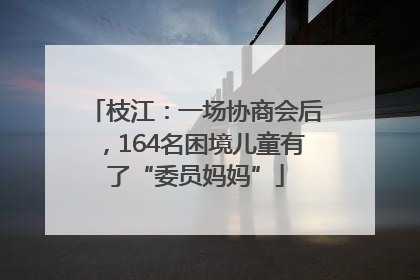枝江：一场协商会后，164名困境儿童有了“委员妈妈”