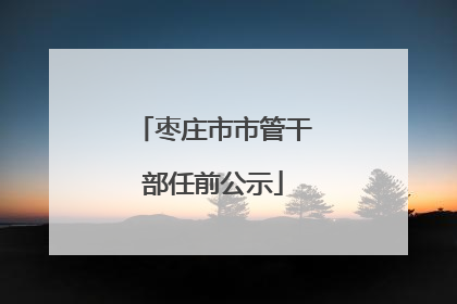 枣庄市市管干部任前公示