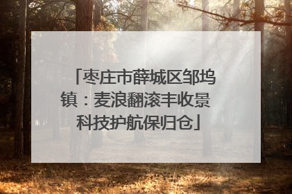 枣庄市薛城区邹坞镇：麦浪翻滚丰收景 科技护航保归仓