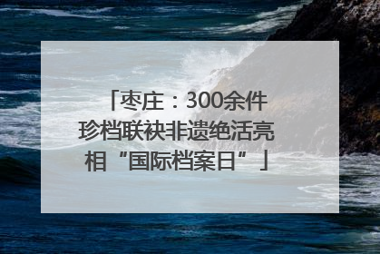 枣庄：300余件珍档联袂非遗绝活亮相“国际档案日”