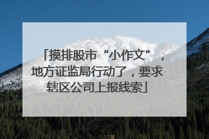 摸排股市“小作文”，地方证监局行动了，要求辖区公司上报线索