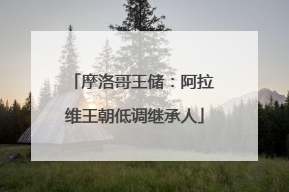 摩洛哥王储：阿拉维王朝低调继承人