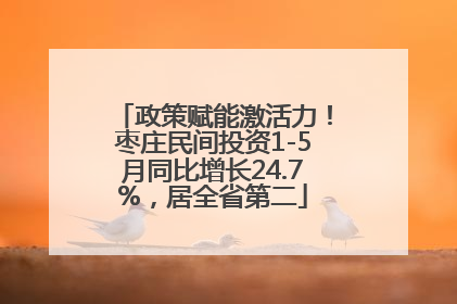 政策赋能激活力！枣庄民间投资1-5月同比增长24.7%，居全省第二