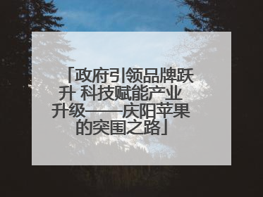 政府引领品牌跃升 科技赋能产业升级——庆阳苹果的突围之路