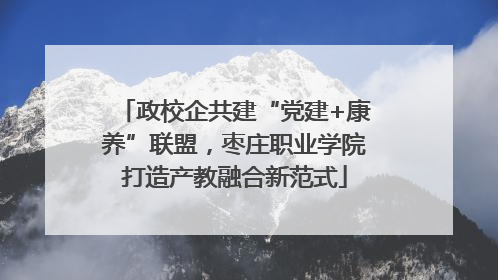 政校企共建“党建+康养”联盟，枣庄职业学院打造产教融合新范式