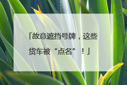 故意遮挡号牌，这些货车被“点名”！