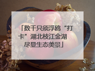数千只须浮鸥“打卡”湖北枝江金湖 尽显生态美景