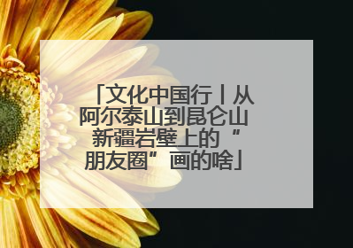 文化中国行丨从阿尔泰山到昆仑山 新疆岩壁上的“朋友圈”画的啥