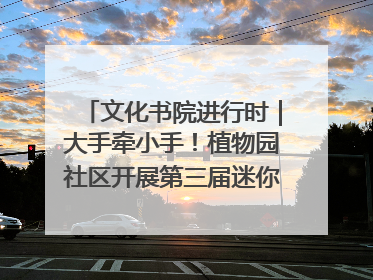 文化书院进行时｜大手牵小手！植物园社区开展第三届迷你马拉松活动