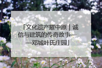 文化遗产耀中原｜诚信与建筑的传奇故事——邓城叶氏庄园
