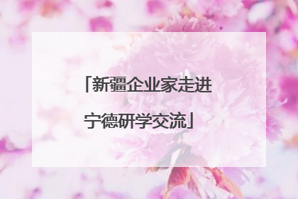 新疆企业家走进宁德研学交流