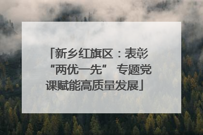 新乡红旗区：表彰 “两优一先” 专题党课赋能高质量发展