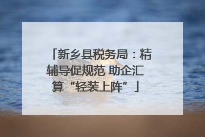 新乡县税务局：精辅导促规范 助企汇算“轻装上阵”