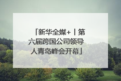 新华全媒+丨第六届跨国公司领导人青岛峰会开幕