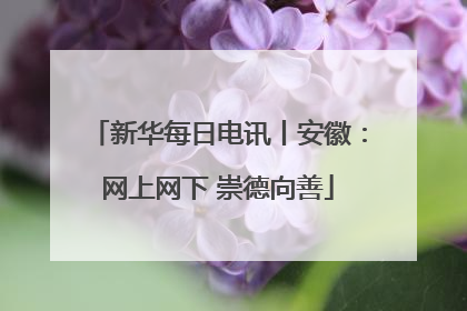 新华每日电讯丨安徽：网上网下 崇德向善
