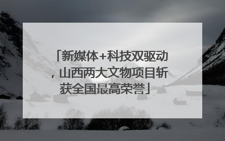 新媒体+科技双驱动，山西两大文物项目斩获全国最高荣誉
