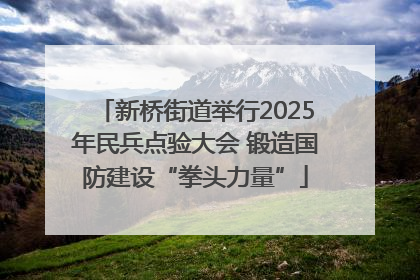 新桥街道举行2025年民兵点验大会 锻造国防建设“拳头力量”