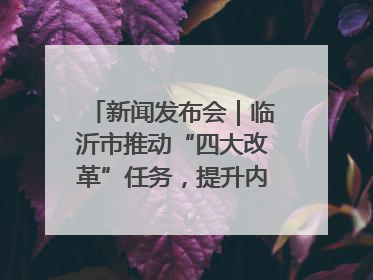 新闻发布会｜临沂市推动“四大改革”任务，提升内部审计监督效能