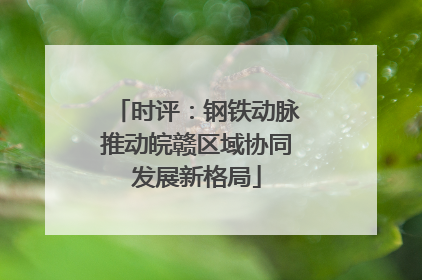 时评：钢铁动脉推动皖赣区域协同发展新格局