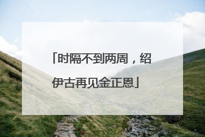 时隔不到两周，绍伊古再见金正恩