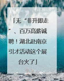 无“非升即走”、百万高薪诚聘！湖北赴南京引才活动这个展台火了