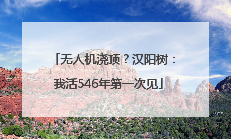 无人机浇顶？汉阳树：我活546年第一次见