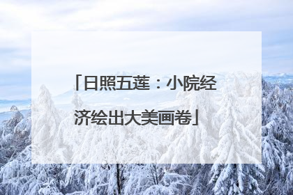 日照五莲：小院经济绘出大美画卷