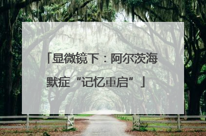 显微镜下：阿尔茨海默症“记忆重启”