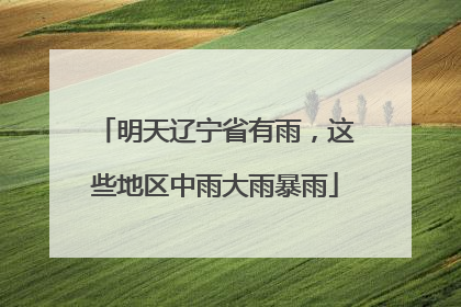 明天辽宁省有雨，这些地区中雨大雨暴雨