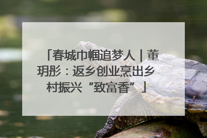 春城巾帼追梦人｜董玥彤：返乡创业烹出乡村振兴“致富香”