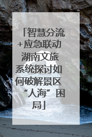 智慧分流+应急联动 湖南文旅系统探讨如何破解景区“人海”困局