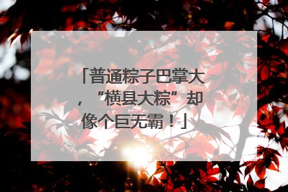 普通粽子巴掌大，“横县大粽”却像个巨无霸！