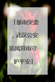 暴雨突袭，武汉公安顶风冒雨守护平安