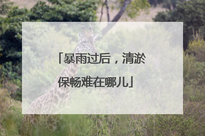 暴雨过后，清淤保畅难在哪儿