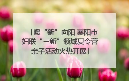 暖“新”向阳 襄阳市妇联“三新”领域夏令营亲子活动火热开展