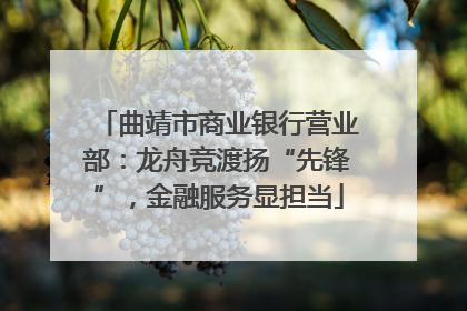 曲靖市商业银行营业部：龙舟竞渡扬“先锋”，金融服务显担当
