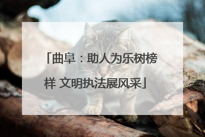 曲阜：助人为乐树榜样 文明执法展风采