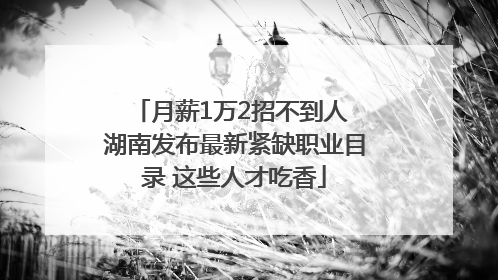 月薪1万2招不到人 湖南发布最新紧缺职业目录 这些人才吃香