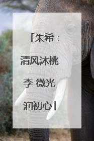 朱希：清风沐桃李 微光润初心