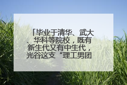 毕业于清华、武大、华科等院校，既有新生代又有中生代，光谷这支“理工男团”为何“出道”？
