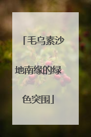 毛乌素沙地南缘的绿色突围