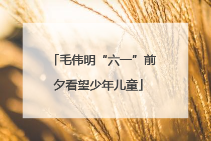 毛伟明“六一”前夕看望少年儿童