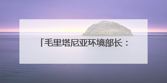 毛里塔尼亚环境部长：中非绿色合作播种非洲“绿色长城”的未来
