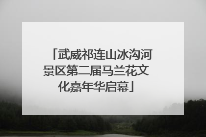 武威祁连山冰沟河景区第二届马兰花文化嘉年华启幕