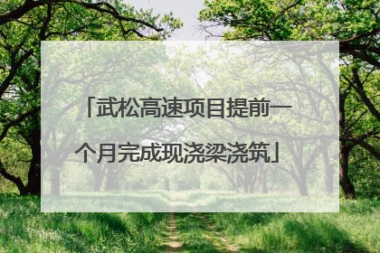武松高速项目提前一个月完成现浇梁浇筑