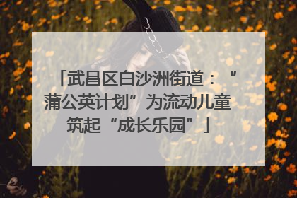 武昌区白沙洲街道：“蒲公英计划”为流动儿童筑起“成长乐园”