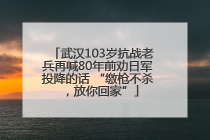 武汉103岁抗战老兵再喊80年前劝日军投降的话 “缴枪不杀，放你回家”