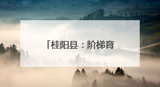 桂阳县：阶梯育德 礼润童心