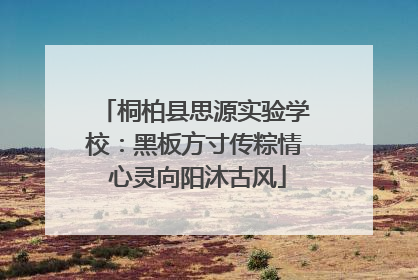 桐柏县思源实验学校：黑板方寸传粽情 心灵向阳沐古风