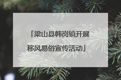 梁山县韩岗镇开展移风易俗宣传活动